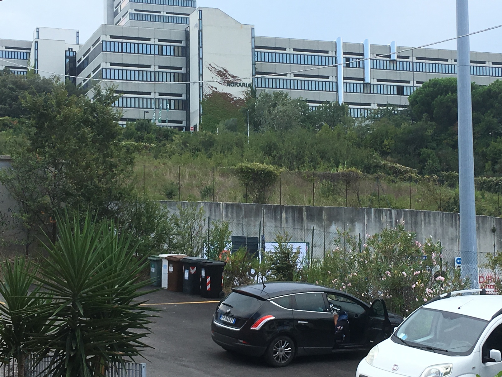 facoltÃ